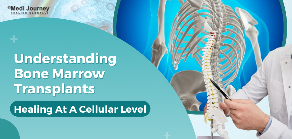 Understanding Bone Marrow Transplants: Healing At A Cellular Level